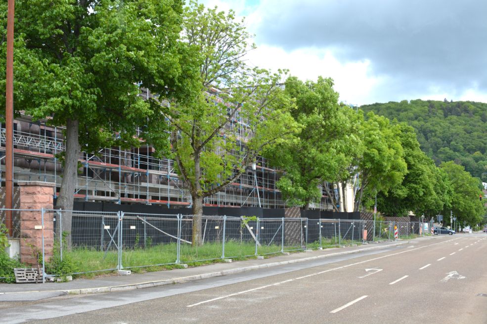 Rheinstraße wird zum grünen Boulevard